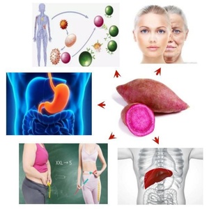 OEM/ODM Wholesale Natural Extract Purple Sweet <b>Potato</b> Powder Solanum Tuberdsm Powder Frozen Dried - Product Image 3