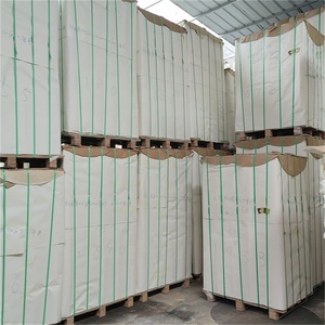 Ventole di carta 150gsm 170gsm 230gsm tazza di carta materiale foglio per usa e getta tazze di carta biodegradabile - Product Image 6