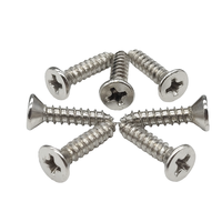 Vis autotaraudeuse Tengri 304 316 en acier inoxydable DIN7982 à tête fraisée cruciforme plate Phillips pour l'assemblage de meubles