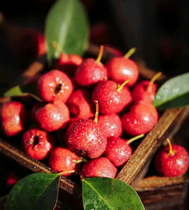 공장 공급 천연 호손 추출물 5% 플라본 호손 추출물 분말 - Product Image 5