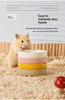 Bol en céramique minimaliste rond de couleur unie pour hamster, gamelle pour hamster syrien, oiseaux et petits animaux (papillons, etc.) - Vente en gros