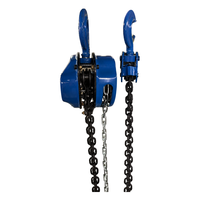 Palans manuels à prix d'usine, capacité 2T, levée 6 m, chaîne de charge de grade 80 pour travaux de levage et d'agrandissement en usine et garage