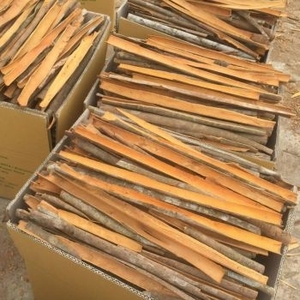 Vietnam secas canela/Seco puro Cassia Stick/venta al por mayor división roto Cassia mejor precio 0084817092069 WS - Product Image 5