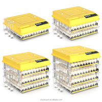 Incubateur d'œufs domestique en plastique écologique réutilisable, machine d'éclosion entièrement automatique pour poulets, oiseaux, perroquets