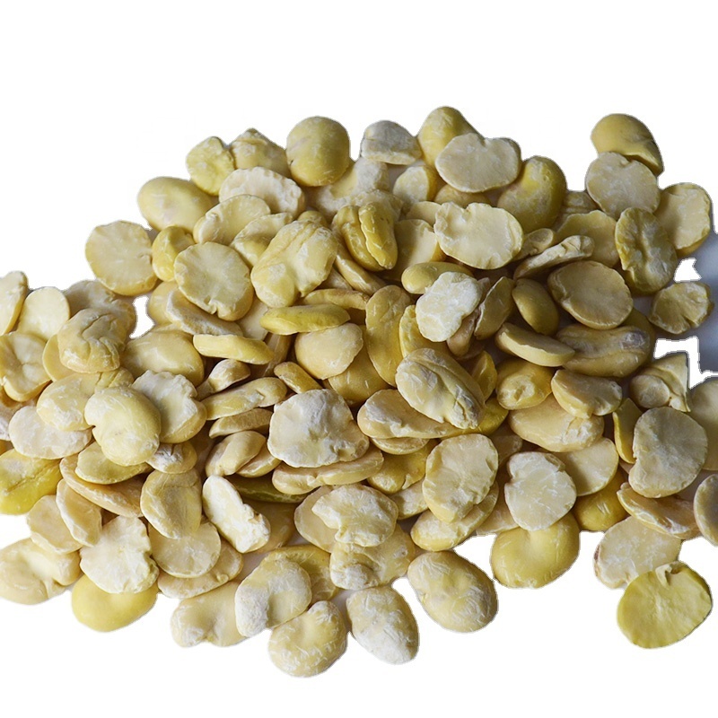 China Origin GREEN Broad Beans Fava
