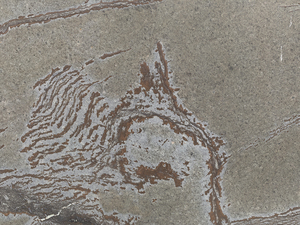 Lastre di <span class=keywords><strong>Pietra</strong></span> Naturale Verde Liana Malibu in Saponite Ferrosa per Piani di Lavoro, Top Bagno, Lavelli, Rivestimenti Murali e Piastrelle per Pavimenti, Colore Nero - Prezzo - Product Image 5