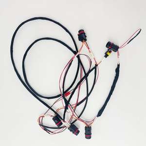 Кабельная сборка (жгут проводов) для грузовиков Teltonika FMS, изготовленная на заказ по заводской цене, от TE Amphenol - Product Image 2