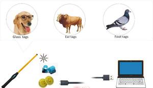 FRD5200 134,2 kHz 4AA USB Animal Ganado <span class=keywords><strong>RFID</strong></span> Stick <span class=keywords><strong>Reader</strong></span> Microchip Escáner para vaca Ganado Granja Lectores de tarjetas de control de acceso - Product Image 5