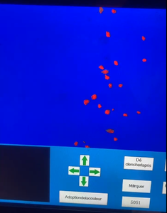 Clasificador óptico Trieur Optique para clasificación de color de lentejas con sistema inteligente y función remota a la venta en Suiza - Product Image 4