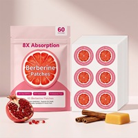 Patchs Transdermiques de Berbérine à Base de Plantes en Gros, 8X Absorption, Libération Lente, Soutien Métabolique, Santé Intestinale, 60 Pièces, Pack de 2 Mois