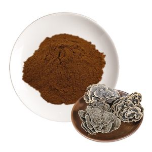100% 최고 품질의 10:1 다당류 차가 버섯 추출물 분말 - Product Image 2