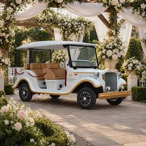 UC-VSB-12 <span class=keywords><strong>Auto</strong></span> Turistica Vintage a Tre File per Attrazioni Turistiche, Resort, Trasporto Hotel e Trasporto Passeggeri all'Aperto - Product Image 3
