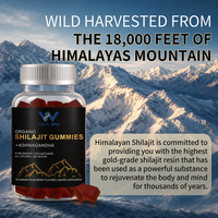 Gummies de Shilajit pour adultes, saveur baies, matière première himalayenne, gummies nutritifs, fabricant en gros