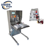 Usine 500ml-50L Machine de remplissage sac à tête unique dans une boîte Machine de remplissage de bavoir Automatique