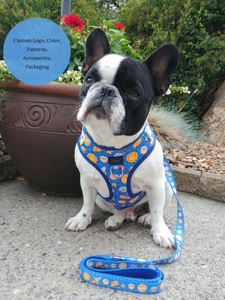 Blue <span class=keywords><strong>Galaxy</strong></span> Pet Accessories Deluxe Stellar Space Harnais pour chien Bundle Harnais réglable pour animaux de compagnie avec laisse, collier, nœud papillon et bandana - Product Image 2