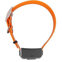 Rastreador GPS Recargable para Mascotas 4G/5G, Dispositivo Antipérdida para Perros de Caza Grandes, Soporte Multi-idioma, Alta Precisión, Resistente al Agua IP68