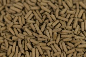 Porpoise בעל חלבון גבוה בצורת רצועת חלבון עם תוספת תולעת צהובה - Product Image 4