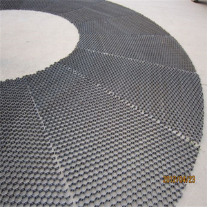 Rùa Vỏ cấu trúc lưới để bán - Product Image 3