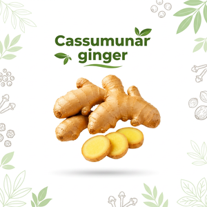 <b>Fresh</b> Cassumunar <b>Ginger</b> Whole Root Aromatic Rhizome Bulk Supply for Food Processing and Wholesale - Product Image 1