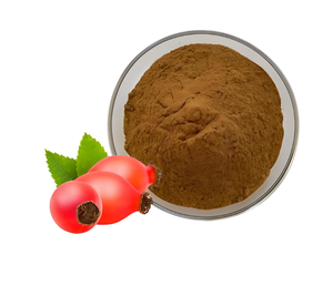 10:1 naturale estratto di erbe spinose rosa frutta e rosa canina in polvere - Product Image 3