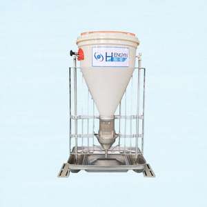 เครื่องป้อนแบบเปียกและแห้งวัสดุ PP สำหรับฟาร์มหมูขนาดใหญ่ - Product Image 3