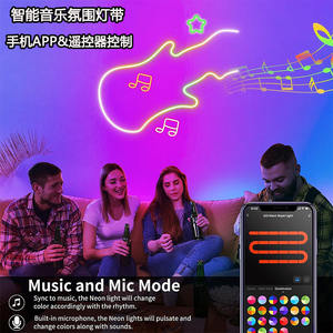 Personnalisé IP67 Extérieur RGBIC 12V 24V 220V 5M <span class=keywords><strong>LED</strong></span> Silicone Tube Néon Flex Flexible Doux Néon <span class=keywords><strong>LED</strong></span> Bande Lumière pour Entrepôt - Product Image 6