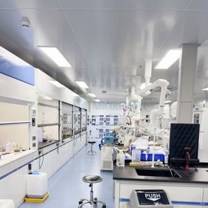 Banco de trabajo de laboratorio ampliamente utilizado, biología, química, cultivo de tejidos, muebles de laboratorio electrónico, mesa de laboratorio Dental - Product Image 3