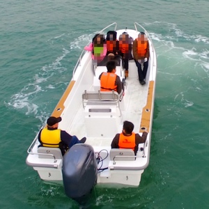 Barco Liya Super Panga de 22 pies, Casco de Fibra de Vidrio Nuevo con Motor Fuera de Borda, Material FRP, Fabricantes de Pangas en Venta en Cabo <span class=keywords><strong>San</strong></span> <span class=keywords><strong>Lucas</strong></span> - Product Image 6