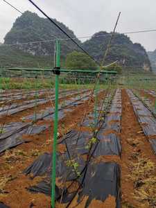 Soporte de tubo redondo de fibra de vidrio - Product Image 3