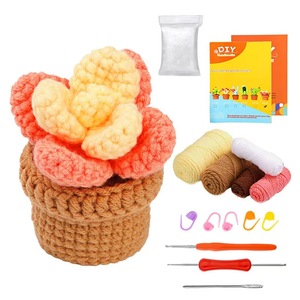 Kits de démarrage au crochet faits main et écologiques en gros avec tutoriels vidéo – Apprenez le crochet, fournitures de tricot et artisanat, plantes au crochet - Product Image 6