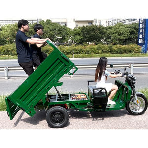 Camión Volquete Eléctrico Agrícola de Tres Ruedas de Servicio Pesado COC EEC 45KM/H 25KM/H en Almacén de Alemania - Product Image 5