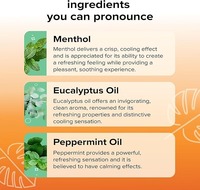 Inhalateur Nasal aux Huiles Essentielles – Bâton Rafraîchissant Énergisant Contre la Fatigue – Inhalateurs Nasaux au Menthol – Aromathérapie Menthe – L'Artéfact Indispensable