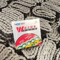 Chaîne à rouleaux double rangée 16A pour transmission de puissance, haute résistance à la traction, traitement thermique pour impression UV, pour la construction et l'agriculture