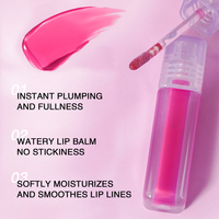 Brillant à lèvres longue durée Vegan imperméable minéral brillant brillant à lèvres finition brillante liquide rouge à lèvres végétalien cosmétiques maquillage