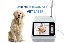 <span class=keywords><strong>Laser</strong></span> Diode 3 Panjang Gelombang 980 1064 810nm Kelas <span class=keywords><strong>4</strong></span> Terapi <span class=keywords><strong>Laser</strong></span> 40W Terapi <span class=keywords><strong>Laser</strong></span> Intensitas Tinggi Pereda Nyeri - Product Image 2