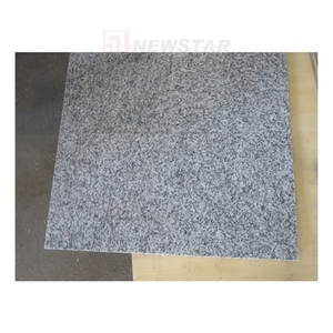 Weishnewstar — carreaux en granit 24x24, pierres pavées <span class=keywords><strong>de</strong></span> <span class=keywords><strong>patio</strong></span>, bon marché, g603 - Product Image 1