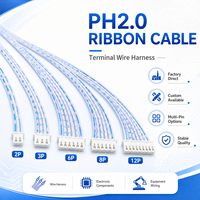 Kabel Pita PH2.0 2 3 6 8 12 Pin Konektor PH Kabel Harness Biru Putih Perakitan Kabel Datar untuk Elektronik dan Peralatan