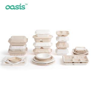 Çevre dostu küçük Bagasse biyobozunur kapaklı gıda kapları tek kullanımlık öğle yemeği kutuları - Product Image 5