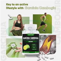 VitaSpring OEM quemador de grasa suplemento de pérdida de peso Delgado ácido hidroxicítrico HCA Garcinia cambogia extracto cápsula