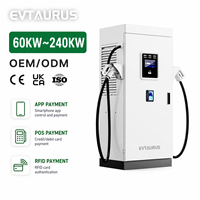 Borne de recharge rapide DC double port CCS2 GBT de niveau 3 pour véhicules électriques, 60-240 kW, avec certifications CE et UKCA