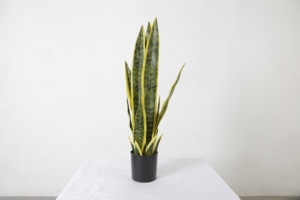 Planta Artificial <span class=keywords><strong>de</strong></span> 56 cm, Tipo Bonsái, Suculenta '<span class=keywords><strong>Lengua</strong></span> <span class=keywords><strong>de</strong></span> Madre', en Maceta, para Interiores - Product Image 2