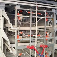 Nouvelle conception, prix plus bas, taille personnalisée, cage d'élevage de poulets de chair entièrement automatique, équipement d'élevage avicole à vendre