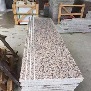 Chinese Roze Graniet Nieuwe Rosa Porrino Graniet Tegels