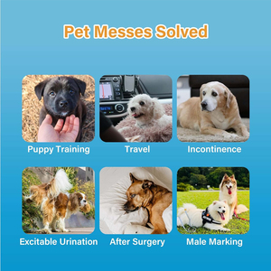 Pañales desechables para perros con indicador de humedad - Product Image 2