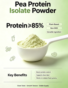 Polvere di Proteine Isolate di Pisello con Buona Capacità di Emulsionazione <span class=keywords><strong>e</strong></span> Legame all'Acqua, Stabilizzante per Sistemi Alimentari - Product Image 3