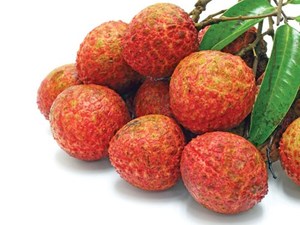 LICHEE FRESCO A PRECIO COMPETITIVO DE VIET NAM - Product Image 3