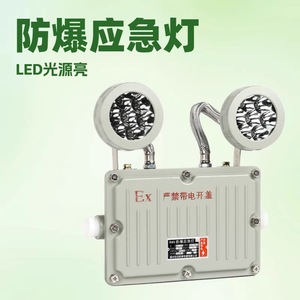 Lampe de Secours LED XBG8330B Antidéflagrante avec Batterie de Secours T4 Nema 4X Durée de Vie de 50 000 Heures - Product Image 5
