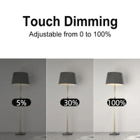 Usine CE RoHS Luminosité Réglable Hôtel Villa Support Alexa Google Home Tuya WiFi Smart Dimmer Touch Light Switch 220V