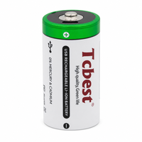 Batterie rechargeable USB C de taille D, 1,5 V, 6000 mAh, lithium-ion, 1200 cycles, pour lampe de poche, radio