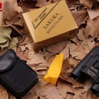Binoculares Compactos 30x60, Mini Telescopio Binocular Plegable de Bolsillo para Observación de Aves, Viajes y Senderismo, con Bolsa de Transporte y Cordón